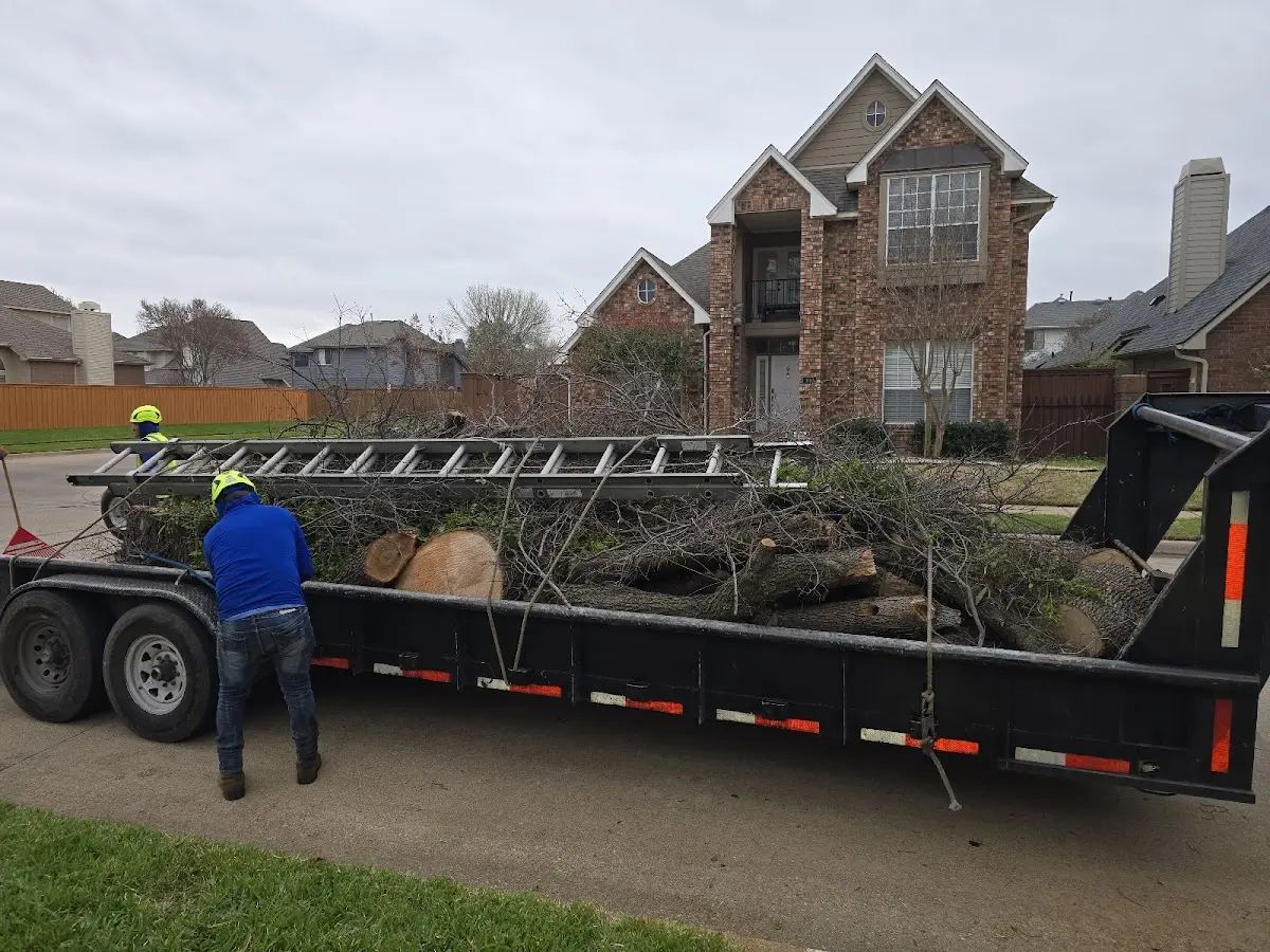 Expert Lot Clearing with proper safety equipment in Montverde